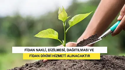 Fidan Nakli, Dizilmesi, Dağıtılması Ve Fidan Dikimi Hizmeti Alınacaktır