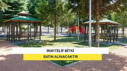 Muhtelif Bitki Satın Alınacaktır