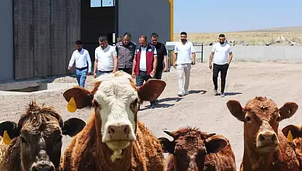 Beydeğirmeni Besi ve Hayvancılık Bölgesi'nde bir yatırım daha hayata geçiyor