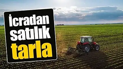 Kayseri'de 51 bin metrekarelik tarla icradan satışa çıkarıldı