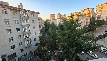 Kayseri'de bu fiyatı görenler incelemeye başladı