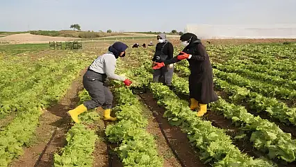 Kayseri'de kooperatiflere kırsal kalkınma desteği!