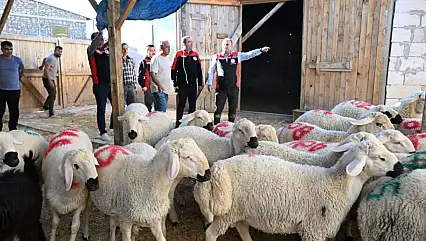 Kayseri'de küçükbaş hayvancılık işletmesinde dikkat çeken ziyaret!