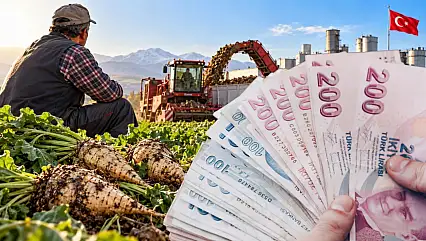 Kayseri'de pancar çiftçisini şaşırtan hesap! 100 dönümden 1 milyon TL