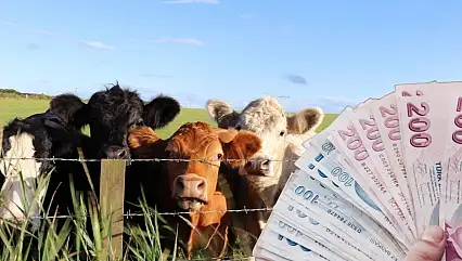 Kayserili üreticilerin beklediği ödeme bugün hesaplara yatıyor