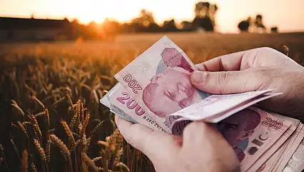 Üreticilere müjde! TMO düğmeye bastı, tarihler açıklandı