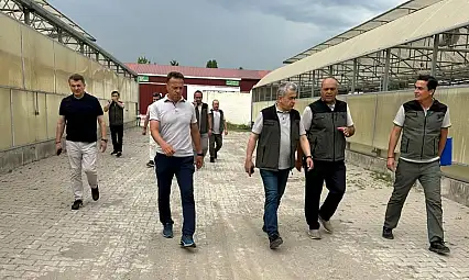 Genel Müdür Yardımcısı Kayseri'ye geldi: Sahaya indi!