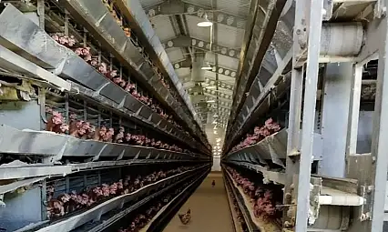 Kanatlı sektöründeki milyonluk projeye ÇED kararı!