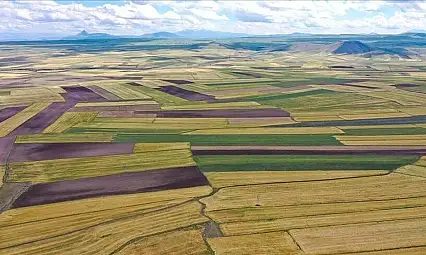 Kayseri'de 3 arsa uygun fiyatlarla satışa çıkarıldı: Üstelik indirim uygulanacak!