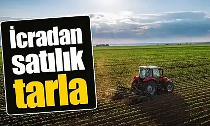 Kayseri'de 51 bin metrekarelik tarla icradan satışa çıkarıldı