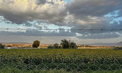 Kayseri'de çiftçileri ilgilendiren tarih belli oldu: ÇKS başvuruları başlıyor!