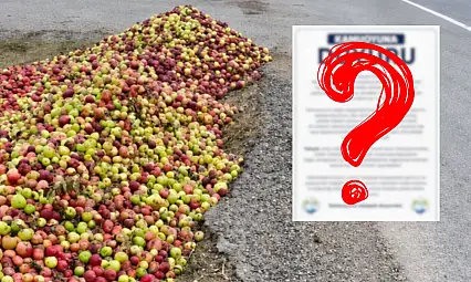 Kayseri'de elmalar ziyan mı edildi? Belediyeden iddialara yanıt