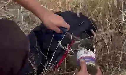 Kayseri'de ilginç kurtarma operasyonu! Kafası kutuya sıkıştı