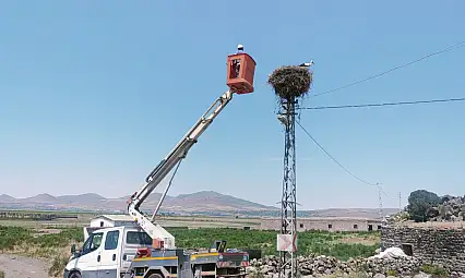 Kayseri'de minik leyleklere KCETAŞ şefkati...