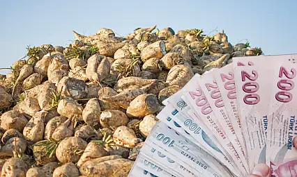 Kayseri'de pancar fiyatı belli oldu: Üretici hayal kırıklığına uğradı!