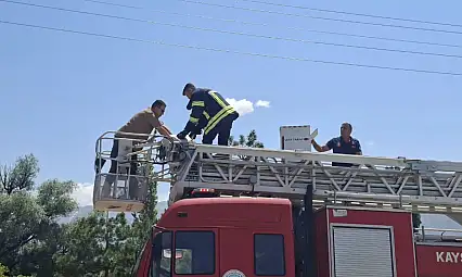 Kayseri'de yürek burkan ihbar! 3 gündür bekleyen yavrular son anda kurtarıldı