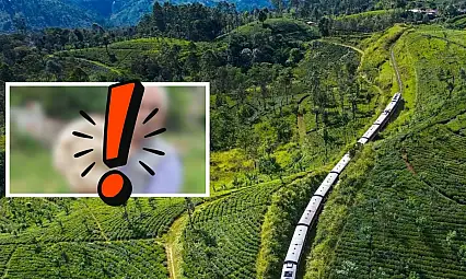 Kayseri'ye bereket geldi: O üründe bolluk yaşanıyor, kilosu 250-500 TL arasında!