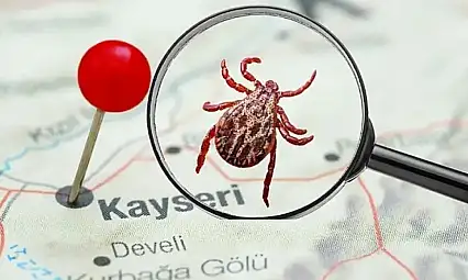 Komşuda 6. ölüm tedirgin etti: Kayseri'de kene en çok nerelerde var?