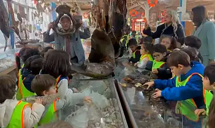 Minikler mumya balıkları ilgiyle inceledi