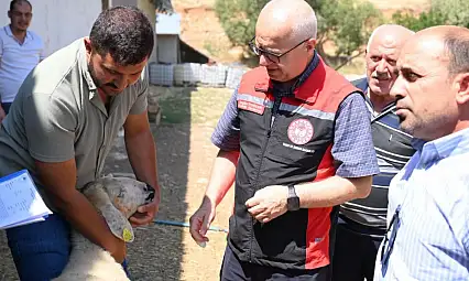 Sarız'da 'Kırsalda Bereket' projesi üreticinin yüzünü güldürdü!