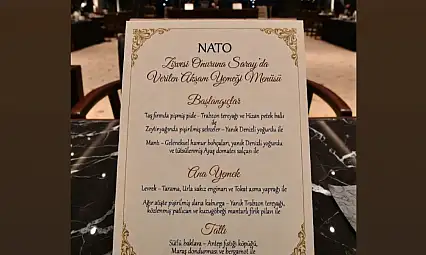 NATO Zirvesi'ne Kayseri mantısı damgası!