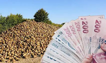 TÜRKŞEKER fiyatı açıkladı! Şimdi gözler Kayseri Şeker'de...