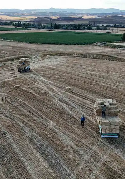 Hasat sonrası balya mesaisi başladı: İşte günlük kazanç!