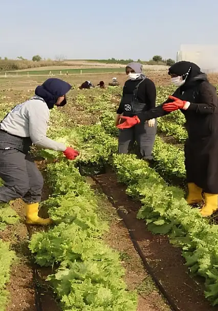 Kayseri'de kooperatiflere kırsal kalkınma desteği!