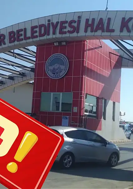 Kayseri'de sonbahar meyveleri tezgahlarda! Kilosu 550 liraya çıktı
