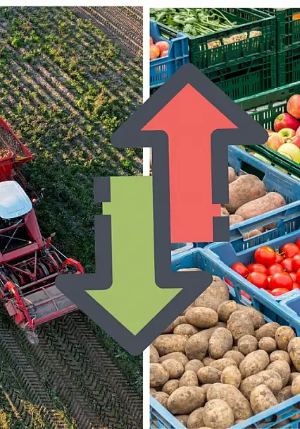 Kayseri'de tarla ile market arasında dikkat çeken fark: Fiyat üç katına çıkıyor!