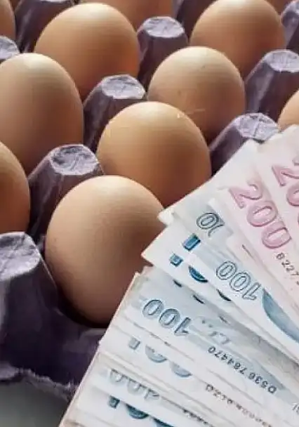 Mutfakların vazgeçilmezi yumurtada fiyat yelpazesi genişledi