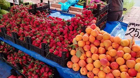 Akbıyık: 'Pazarlarda fiyatlarımız düşecektir'