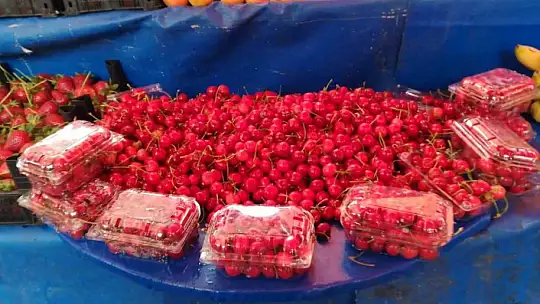 Akbıyık: 'Pazarlarda fiyatlarımız düşecektir'