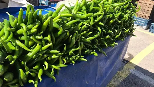 Akbıyık: 'Pazarlarda fiyatlarımız düşecektir'