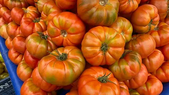 Akbıyık: 'Pazarlarda fiyatlarımız düşecektir'