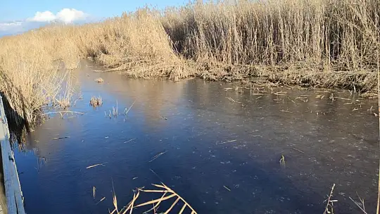 'Kuş cenneti' buz tuttu