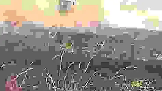 100 dönüm ekili tarım arazisi küle döndü, hasarın boyutu havadan görüntülendi