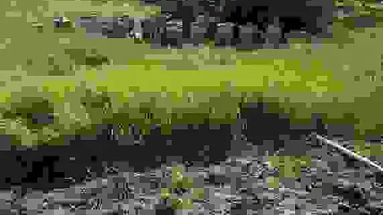 2 gün önce kaybolan adam ölü olarak bulundu