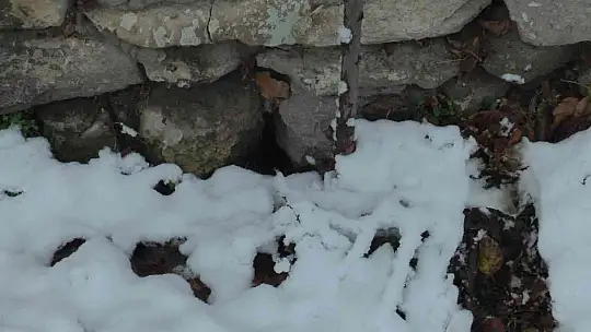 Fahrettin amcanın 30 yıllık isyanı: Yetkililerden yardım istiyorum