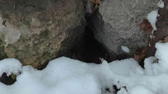 Fahrettin amcanın 30 yıllık isyanı: Yetkililerden yardım istiyorum