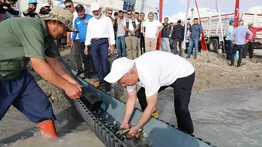 2 milyon yavru sularla buluşturuldu