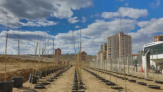 Melikgazi'ye 4 bin 500 fidan