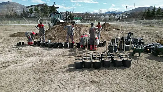 Melikgazi'ye 4 bin 500 fidan