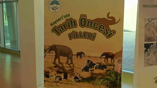 7,5 milyon yıllık tarih Kayseri'de sergileniyor