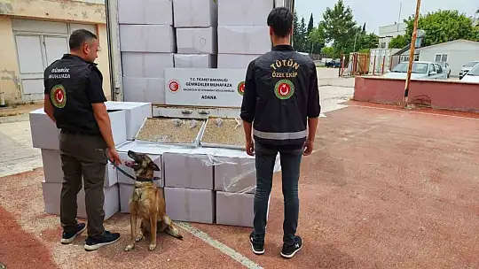 Adana'da 1 milyon 125 bin kaçak makaron ele geçirildi