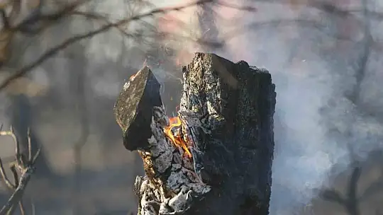 Adana'da 25-30 hektarın yandığı orman yangını kontrol altına alındı