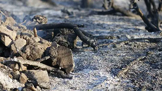 Adana'da 25-30 hektarın yandığı orman yangını kontrol altına alındı