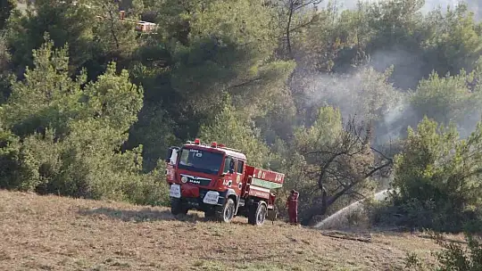 Adana'da 25-30 hektarın yandığı orman yangını kontrol altına alındı