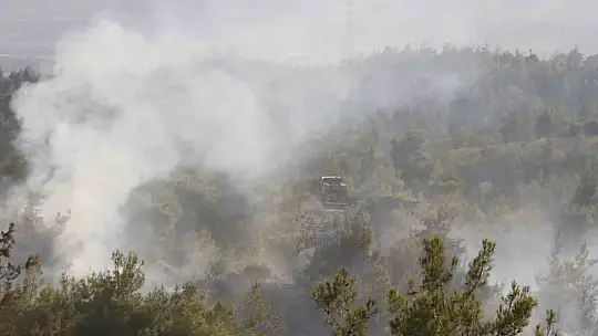 Adana'da 25-30 hektarın yandığı orman yangını kontrol altına alındı