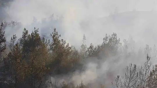 Adana'da 25-30 hektarın yandığı orman yangını kontrol altına alındı